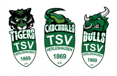 Mannschaft: TSV 1869 Herleshausen Cup I